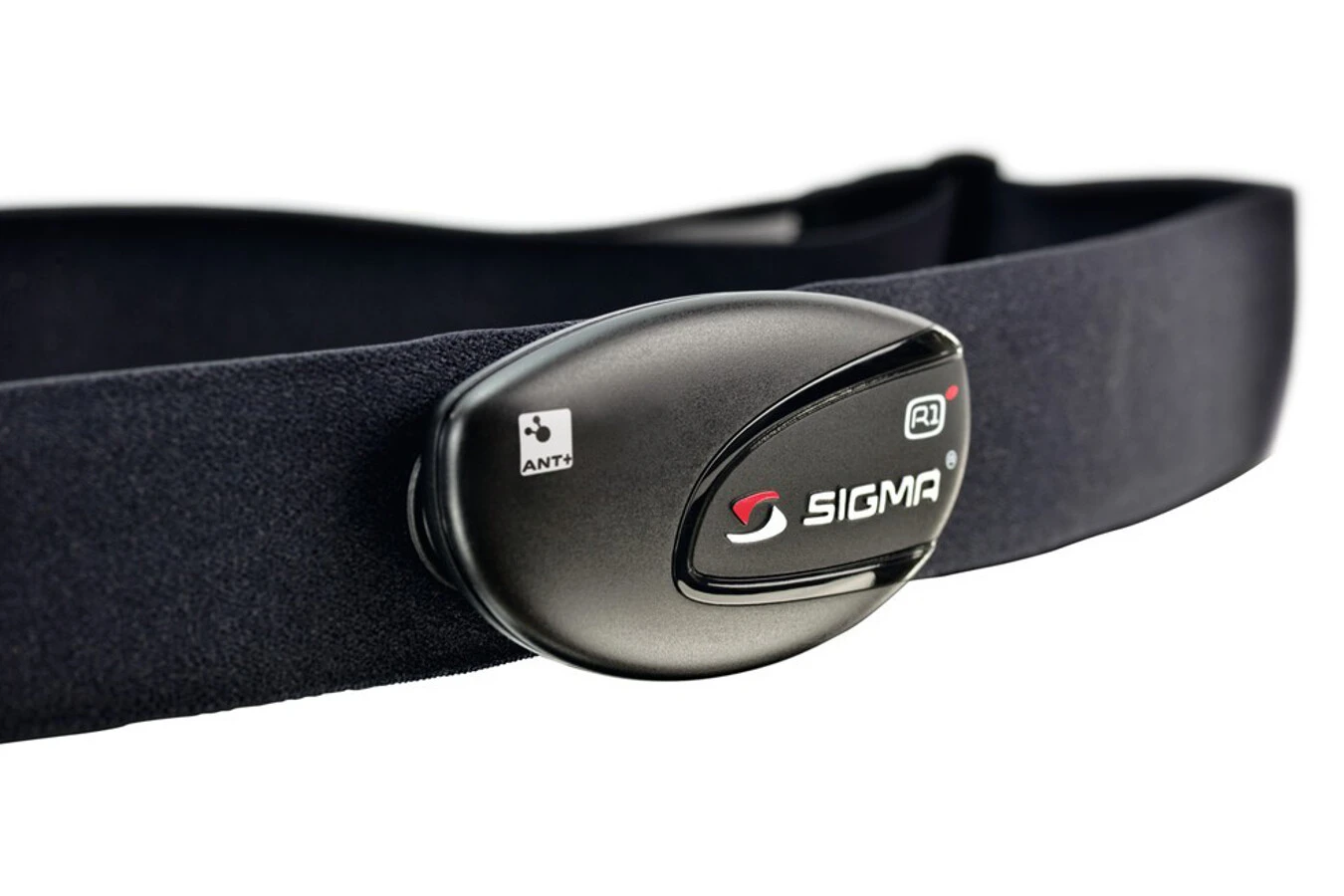 Meilleure vente đ SIGMA SPORT ANT+ R1 Comfortex+ pour Sigma Rox 10 đ 1 Meilleure vente đ SIGMA SPORT ANT+ R1 Comfortex+ pour Sigma Rox 10 đ