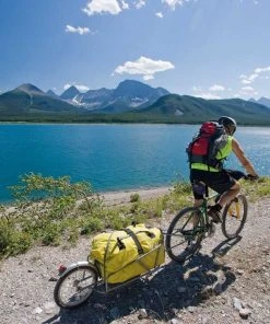 Vente flash 🎁 BOB Ibex Pour voyages Pour 26", Or ✔️ -Accessoires Vélo Soldes croozer bob ibex travel pendant for 26 with bag gold 3