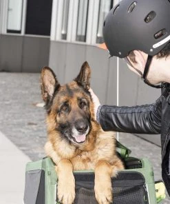 Nouveau ❤️ Croozer 🧨 Dog Bruuno Remorque pour chien, noir/olive 😍 -Accessoires Vélo Soldes croozer dog xxl hundeanhaenger kieferngruen 4