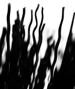 Tout neuf 😍 Muc-Off Tyre & Cassette Brush 🛒 -Accessoires Vélo Soldes muc off tyre cassette brush black 4